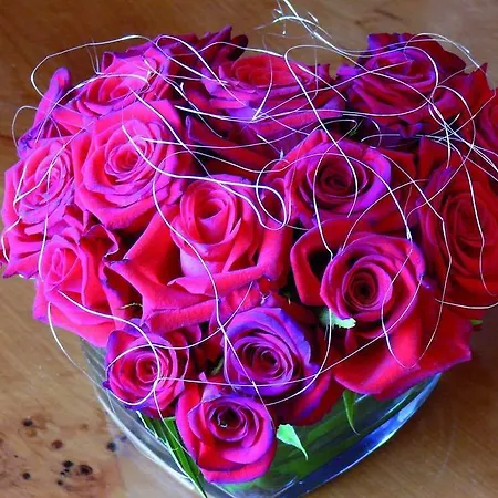 호텔 Maritim 마그데부르크