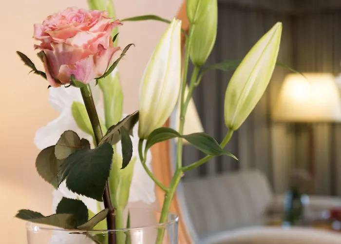 Maritim 4* Magdeburg